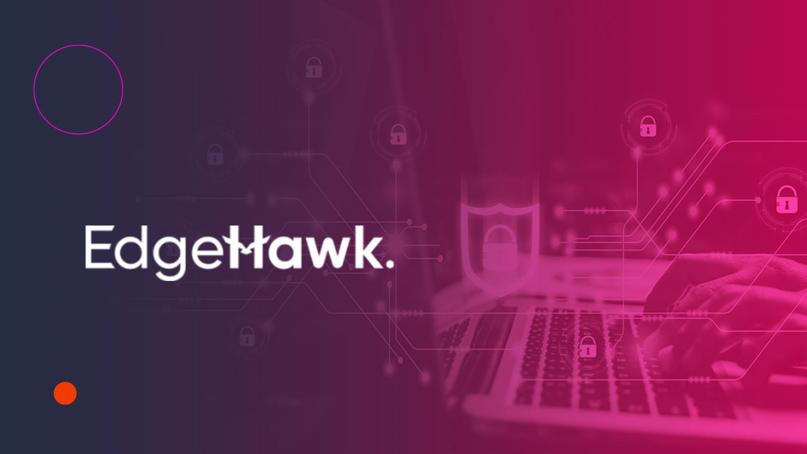 EdgeHawk & Viewtinet Unite for Efficient Network Security