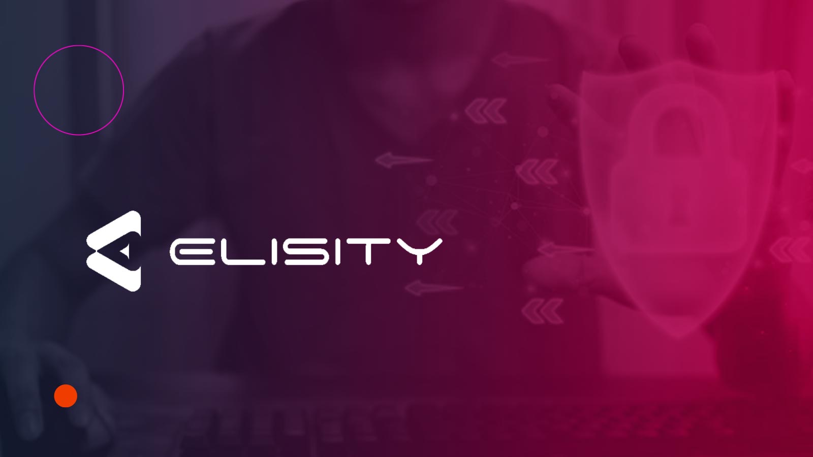 Elisity Gains Momentum in 2024 as Microsegmentation Grows