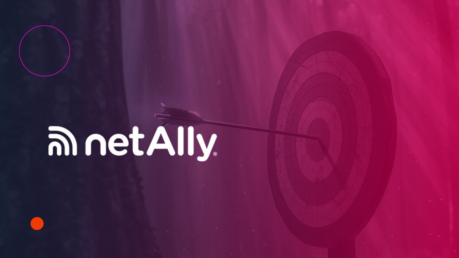NetAlly Appoints Nathan Collins as EMEA VP to Boost Growth