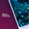 Blue Mantis Expands Network with Three Key Acquisitions