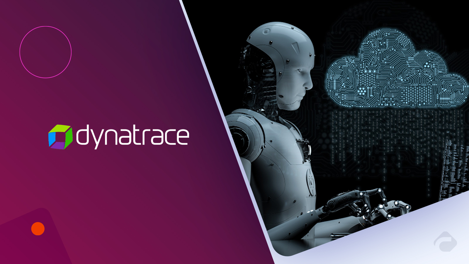Dynatrace Introduces Observability for Developers