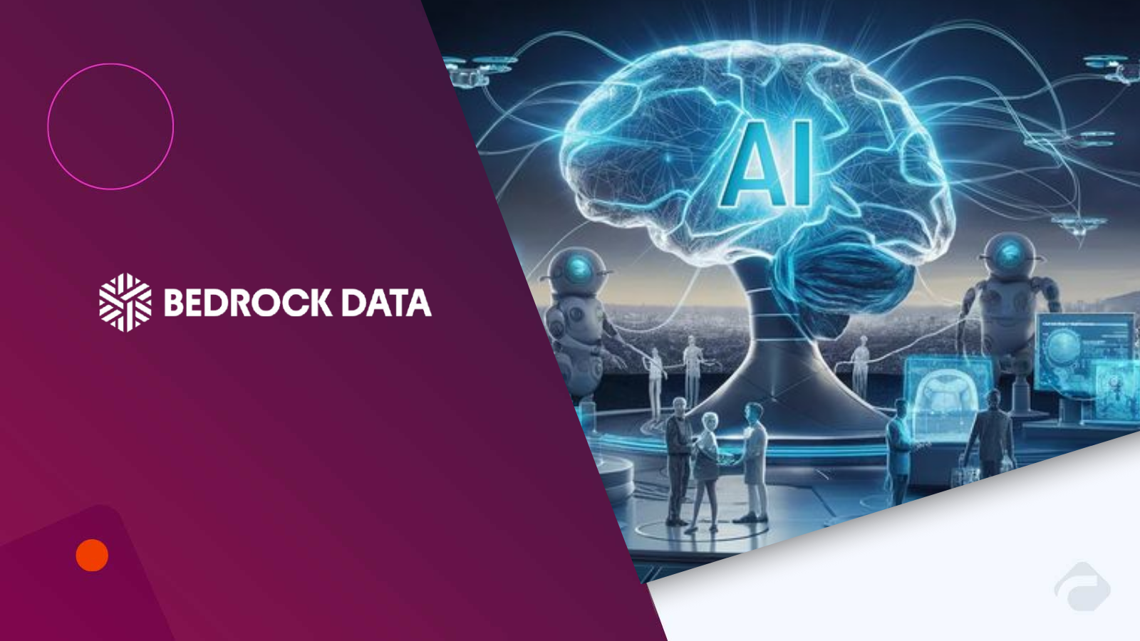Bedrock Data Advances AI Data Governance with Funding