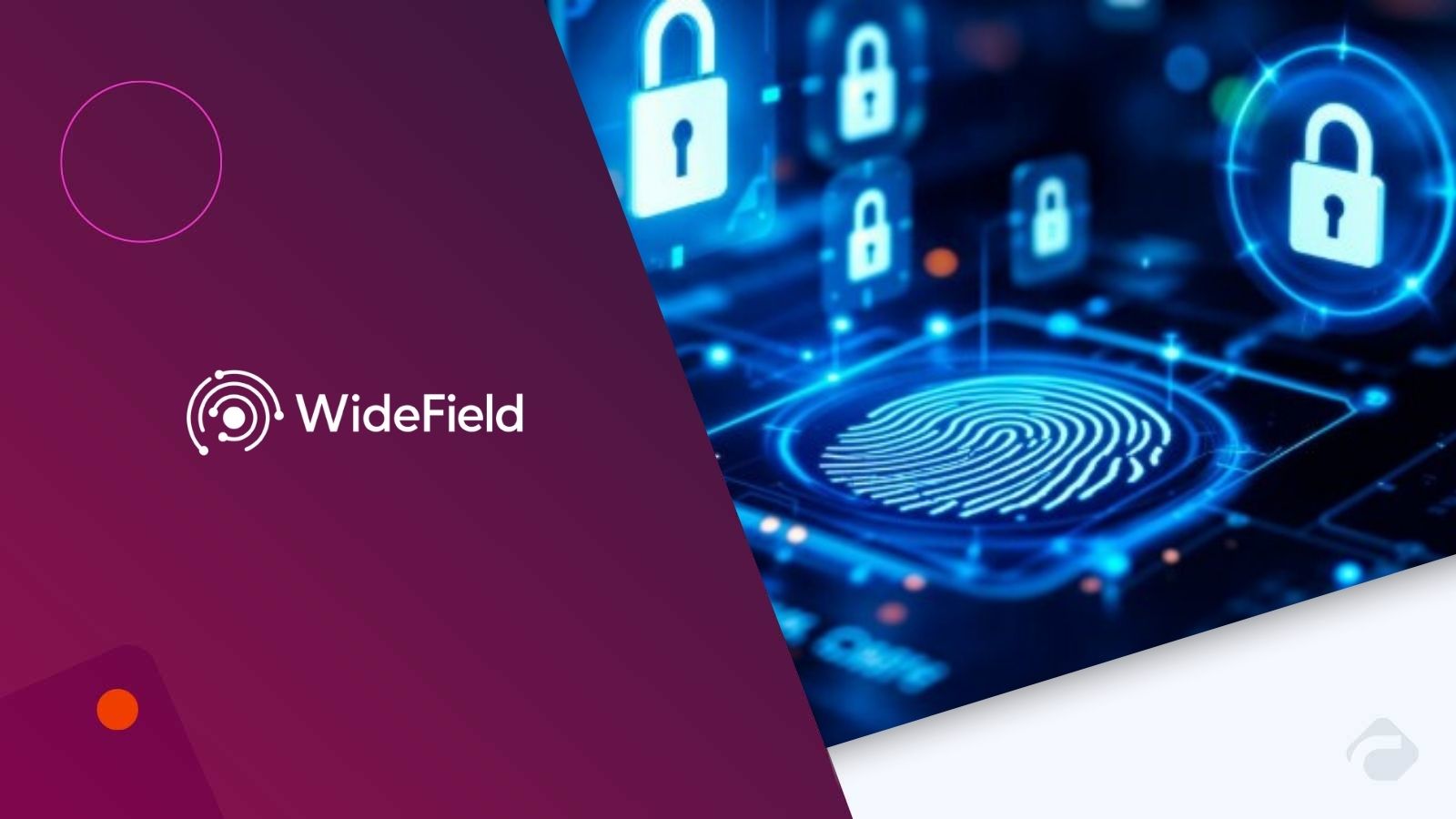 WideField Expands AI Identity Security With Cisco Investment