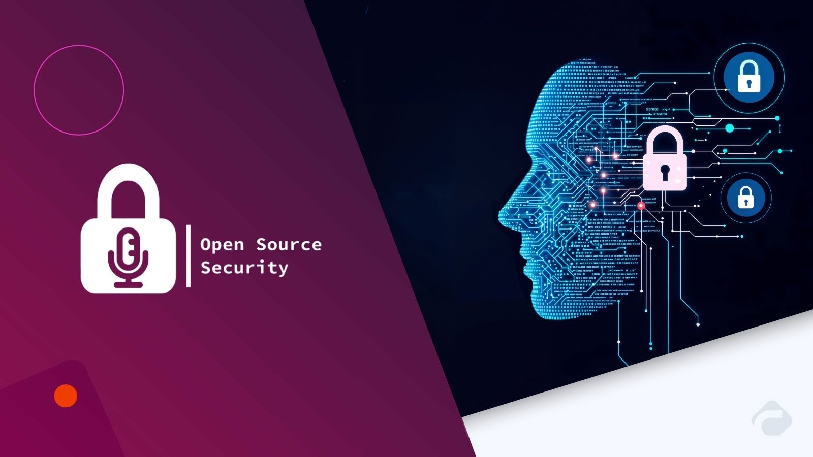 Big Tech Backs Open Source Security Ecosystem