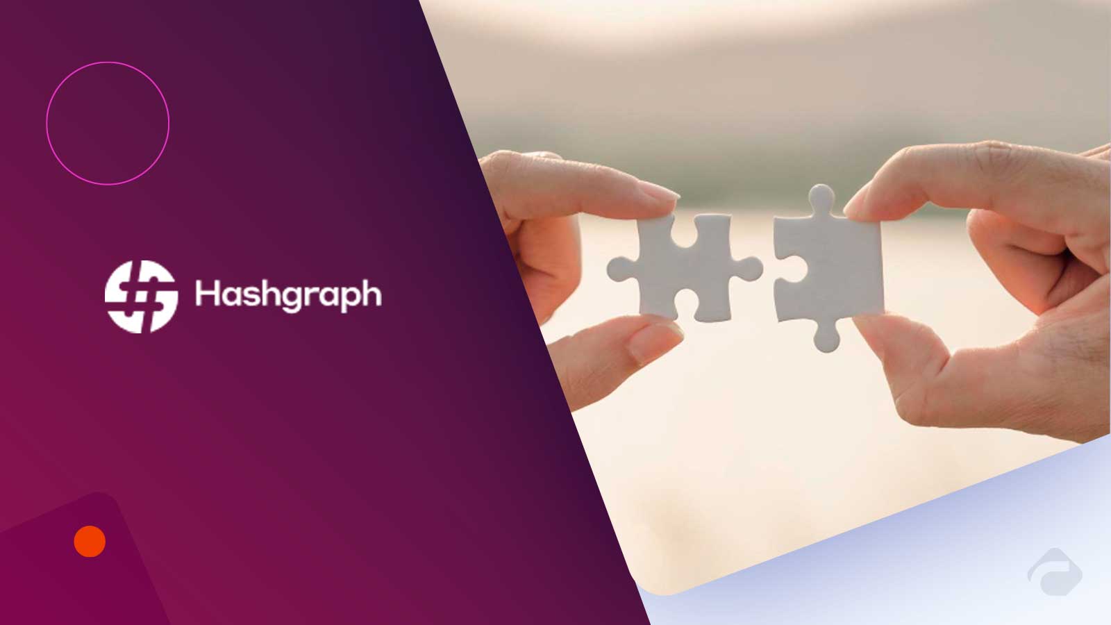 Hashgraph Partners Halborn to Boost Hedera Security