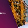 Critical Infrastructure Is Replacing Trust-Based Connectivity With Hardware-Enforced Security